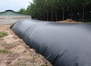 màng chống thấm hdpe làm hồ biogas