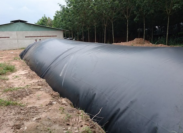 Màng chống thấm HDPE làm hầm biogas